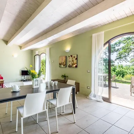 فيلة Salvia تريكواندا